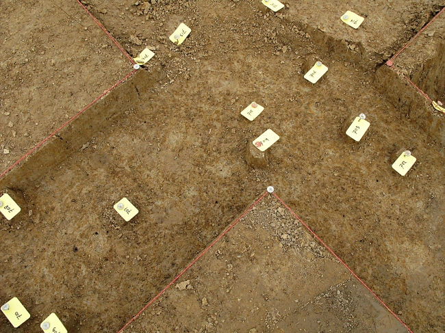 Detail van archeologische opgraving