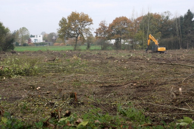 Op het meest noordelijk deel van het bosperceel zal de dekgrond worden geborgen die vrijkomt bij de afgraving van het Hartelsteinerveld. Dit gronddepot zal tevens dienen als geluidsscherm voor de nabij gelegen woningen.
