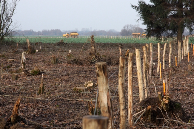 De afrastering die de begrenzing aangeeft van het af te graven gebied loopt vanuit het bosperceel naar het noorden richting gronddepot. Links van deze afrastering zal een 2de werkweg worden aangelegd die achter de huizen van de Hoogmaas (langs de bosrand) gaat lopen en aansluit op de overgang bij de openbare weg bij Op de Bos. De afrastering die de begrenzing aangeeft van het af te graven gebied loopt vanuit het bosperceel naar het noorden richting gronddepot. Links van deze afrastering zal een 2de werkweg worden aangelegd die achter de huizen van de Hoogmaas (langs de bosrand) gaat lopen en aansluit op de overgang bij de openbare weg bij Op de Bos.