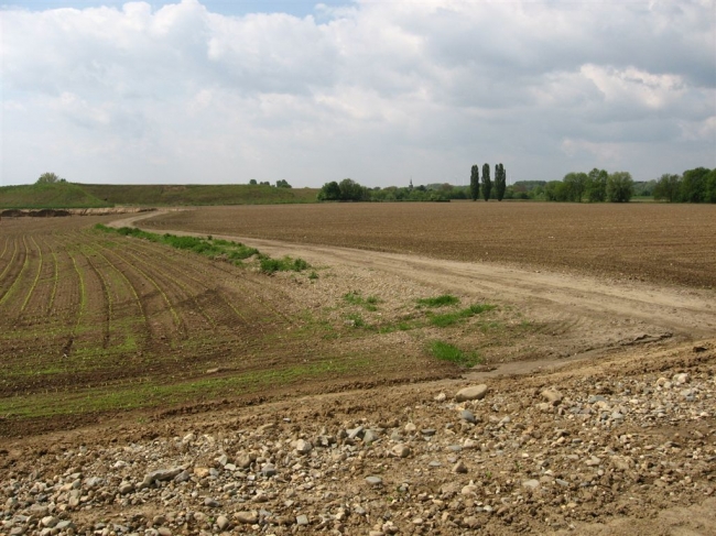 Restant Meerbruggenweg met links nieuwe aanplant in het stuk dat niet vergraven wordt.Op de achtgrond de kerk van Itteren.