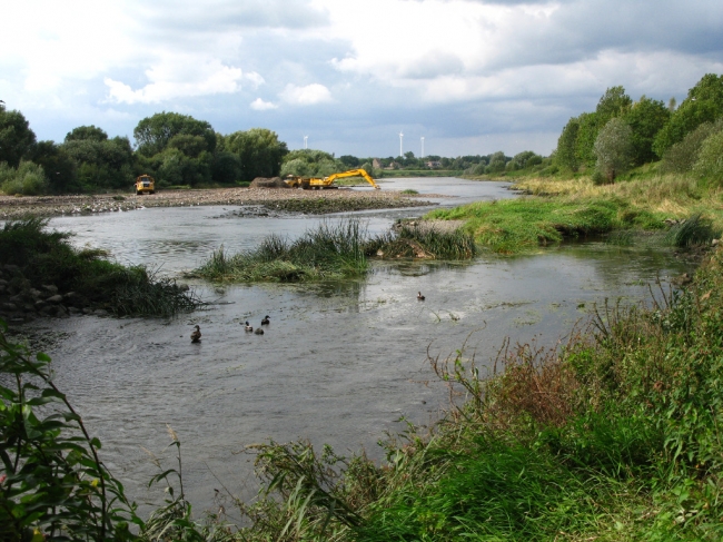 Graafmachines en dumpers in de Maas achter de stuw in Borgharen. 