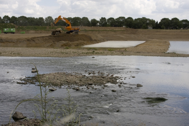 Er is hier vanaf de oever een verbinding gemaakt met de grindeilanden in het midden van de Maas. Je kunt straks misschien ook nog, naast een bezoek aan het paardengraf uit de 17de eeuw, een wandeling door de Maas maken. Als de waterstand van de Maas dan ook nog meewerkt .....
Er is hier vanaf de oever een verbinding gemaakt met de grindeilanden in het midden van de Maas. Je kunt straks misschien ook nog, naast een bezoek aan het paardengraf uit de 17de eeuw, een wandeling door de Maas maken. Als de waterstand van de Maas dan ook nog meewerkt .....