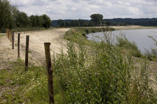 Een groot gedeelte van de afrastering langs de Maas tussen Hochter Bampd en Herbricht is al klaar. De runderen die momenteel in Hochter Bampd lopen kunnen nu ook via de afgerasterde oever van de Maas naar Herbricht toe lopen waardoor deze gebieden met elkaar verbonden zijn en Ã©Ã©n natuurgebied vormen. 