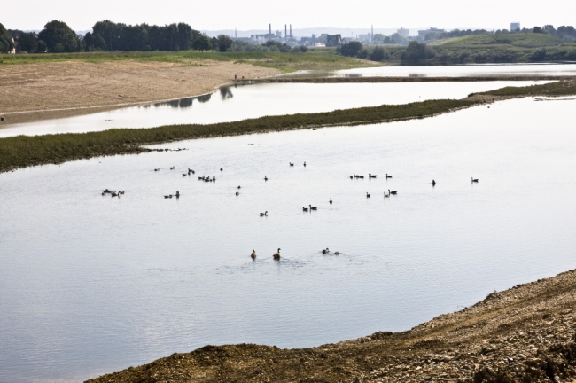 Zicht op de Maas vanaf Smeermaas in zuid-oostelijke richting met een grinteiland in het midden van de Maas. Op de voorgrond Canadese ganzen. Zicht op de Maas vanaf Smeermaas in zuid-oostelijke richting met een grinteiland in het midden van de Maas. Op de voorgrond Canadese ganzen.