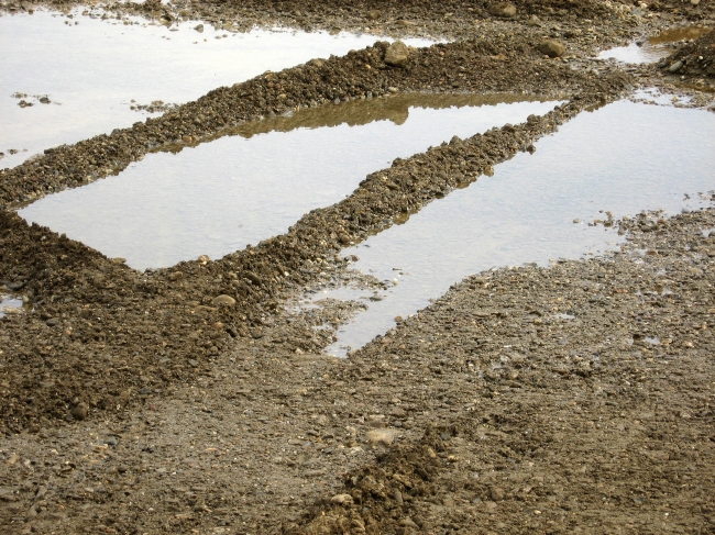 Detailfoto afgraving tot op grondwaternivo