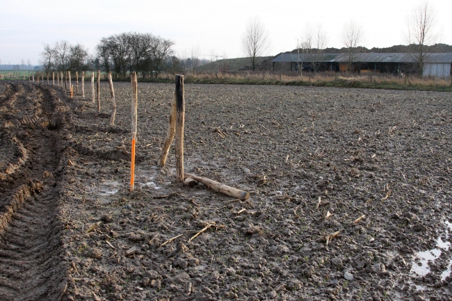 Rechts van de afrastering blijft onvergraven natuur, links ervan zal gegraven worden. Rechts staat nog de loods van Richard Kerckhofs, die binnenkort zal worden afgebroken. Rechts van de afrastering blijft onvergraven natuur, links ervan zal gegraven worden. Rechts staat nog de loods van Richard Kerckhofs, die binnenkort zal worden afgebroken.