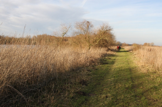 De dijk die de plas scheidt van de Maas zal in het kader van het Grensmaasplan worden afgegraven tot op het niveau van de Maas. De dijk die de plas scheidt van de Maas zal in het kader van het Grensmaasplan worden afgegraven tot op het niveau van de Maas.