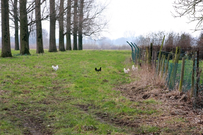 Het dorp, ik weet nog hoe het was, zal straks alleen nog maar voortleven in de herinnering van de huidige bewoners. Het dorp, ik weet nog hoe het was, zal straks alleen nog maar voortleven in de herinnering van de huidige bewoners.