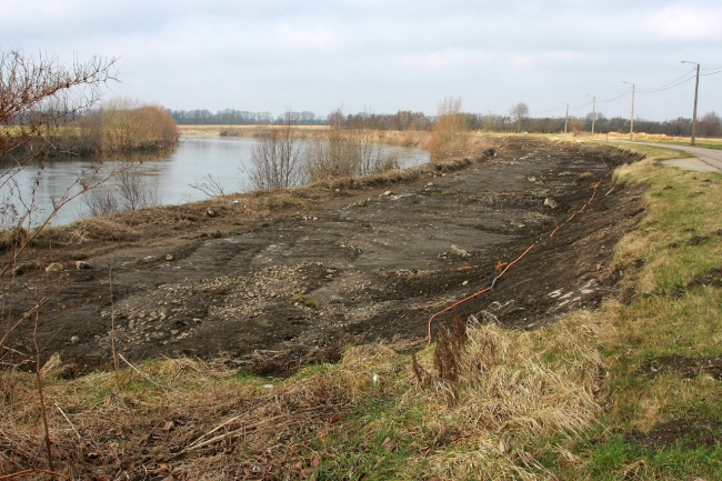 Langs de oevers van de Maas zal een corridor worden gemaakt waarlangs de runderen en paarden kunnen trekken van natuurgebied Hochterbampd naar Herbricht.