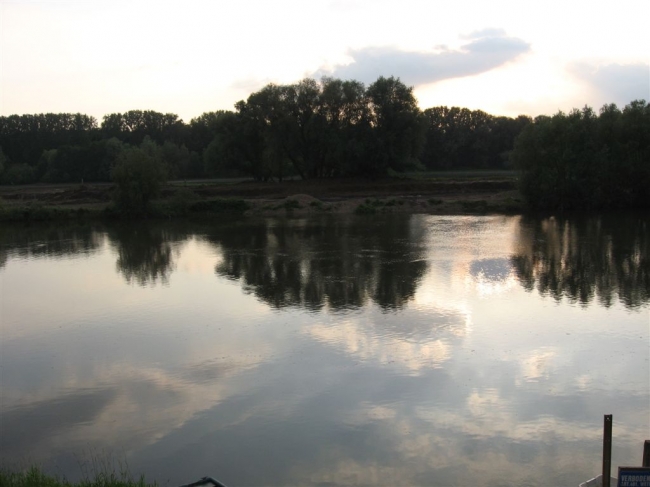 De zomerdijk is ook hier al verlaagd. De bomen op de achtergrond zullen blijven. De bomen aan de waterkant zullen waarschijnlijk gerooid worden. De zomerdijk is ook hier al verlaagd. De bomen op de achtergrond zullen blijven. De bomen aan de waterkant zullen waarschijnlijk gerooid worden.