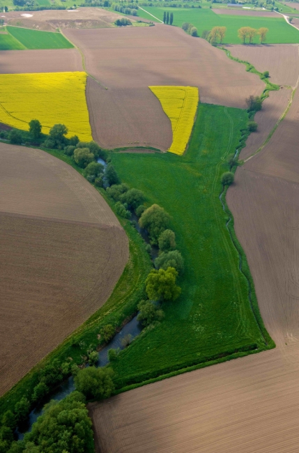 De Geul, omzoomd door groen. Dit gedeelte blijft grotendeels intact als de Geul straks zuidelijk van Kasteelhoeve Hartelstein gaat lopen. De Geul, omzoomd door groen. Dit gedeelte blijft grotendeels intact als de Geul straks zuidelijk van Kasteelhoeve Hartelstein gaat lopen.
