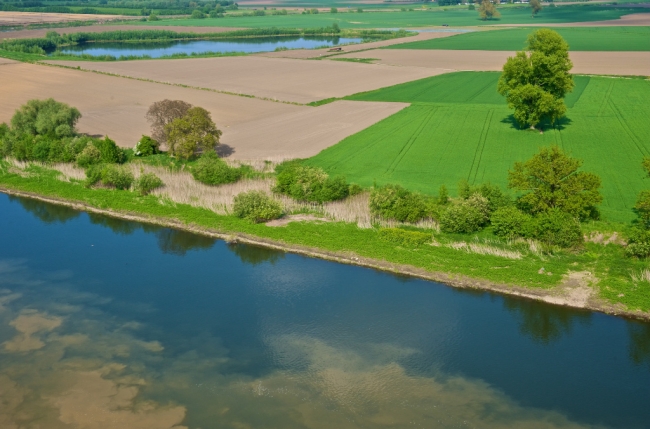 Dit gebied zal enkele meters worden afgegraven om de Maas meer ruimte te geven bij hoogwater. Het lager gelegen deel zal straks regelmatig overstromen en hierop zal zich een specifieke flora gaan ontwikkelen. 
De weerdverlaging zal vanaf de rivier enkele honderden meters landinwaarts gaan.
