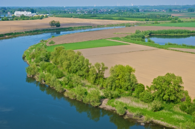 De Maas met rechtsboven een oude grindplas, ontstaan bij een ontgrinding in de 60-er jaren.