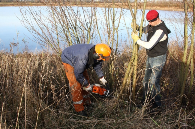 Jarenlang heeft Rijkswaterstaat in het verleden alle begroeiing rondom de grindplas verwijderd. Nu was er eindelijk in de laatste jaren een beetje begroeing ontstaan, moet ze al weer worden gekapt in het kader van de aanpak van de Grensmaas. Jarenlang heeft Rijkswaterstaat in het verleden alle begroeiing rondom de grindplas verwijderd. Nu was er eindelijk in de laatste jaren een beetje begroeing ontstaan, moet ze al weer worden gekapt in het kader van de aanpak van de Grensmaas.