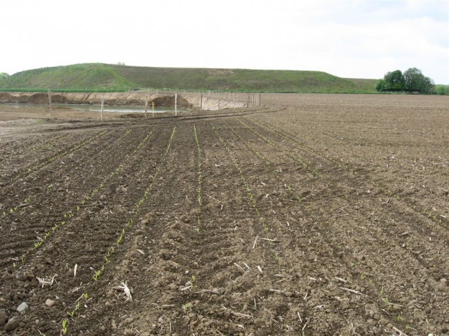 De zuidelijke en westelijke begrenzing van de dekgrondberging. Rechts is nu ingezaaid maar hier ligt wel het zoekgebied voor de nieuwe loop van de Geul. De zuidelijke en westelijke begrenzing van de dekgrondberging. Rechts is nu ingezaaid maar hier ligt wel het zoekgebied voor de nieuwe loop van de Geul.