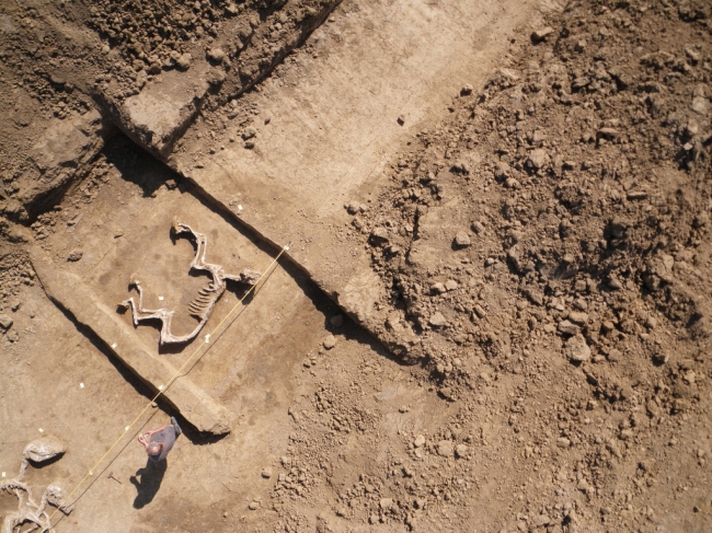 Prachtige detailopname van een paardengraf te Borgharen. Ralph Faun werkt zelf mee bij de opgravingen en neemt van tijd tot tijd de camera ter hand om zulke unieke foto's vanuit de lucht te maken. 