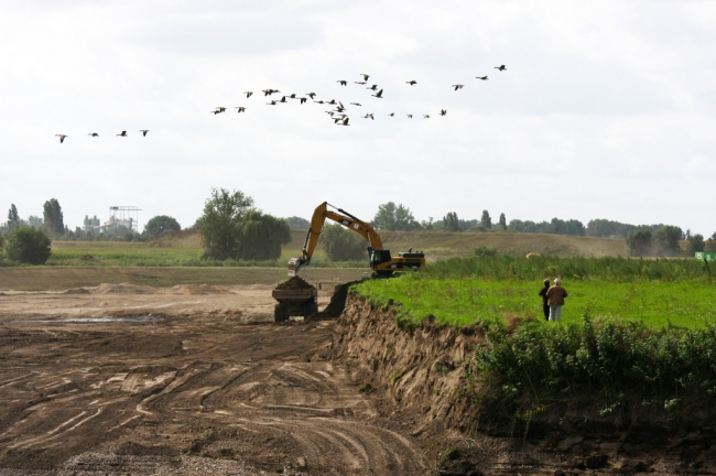 De ganzen moeten nog effe wachten met landen. Als de plannen mbt de stroomgeulverbreding ongewijzigd doorgaan hebben ze straks water genoeg om op te landen. De ganzen moeten nog effe wachten met landen. Als de plannen mbt de stroomgeulverbreding ongewijzigd doorgaan hebben ze straks water genoeg om op te landen.