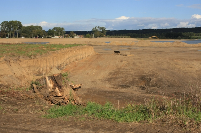 De restanten van een van de grote Kanada's die lange tijd als baken in de Itterse weerd heeft gestaan. Op de achtergrond de Maas met nog verder door Herbricht. De restanten van een van de grote Kanada's die lange tijd als baken in de Itterse weerd heeft gestaan. Op de achtergrond de Maas met nog verder door Herbricht.