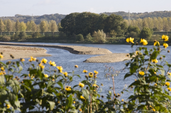 De Belgen hebben het begrepen, in de Maas hebben zij extra grindeilanden aangelegd die het geheel een meer natuurlijk aanzien geven. Nu de De Belgen hebben het begrepen, in de Maas hebben zij extra grindeilanden aangelegd die het geheel een meer natuurlijk aanzien geven. Nu de