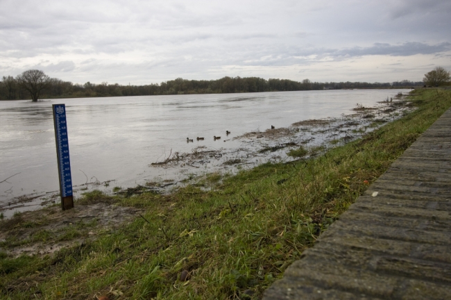 Deze peilschaal is pas enkele weken geleden geplaatst. Hij staat nog net niet met zijn voeten in het water. Door de verbredingswerkzaamheden aan Belgische zijde, bij Hochter Bampd en Herbricht staat het waterpeil hier al zo´n 50cm lager dan voorheen. Deze peilschaal is pas enkele weken geleden geplaatst. Hij staat nog net niet met zijn voeten in het water. Door de verbredingswerkzaamheden aan Belgische zijde, bij Hochter Bampd en Herbricht staat het waterpeil hier al zo´n 50cm lager dan voorheen.