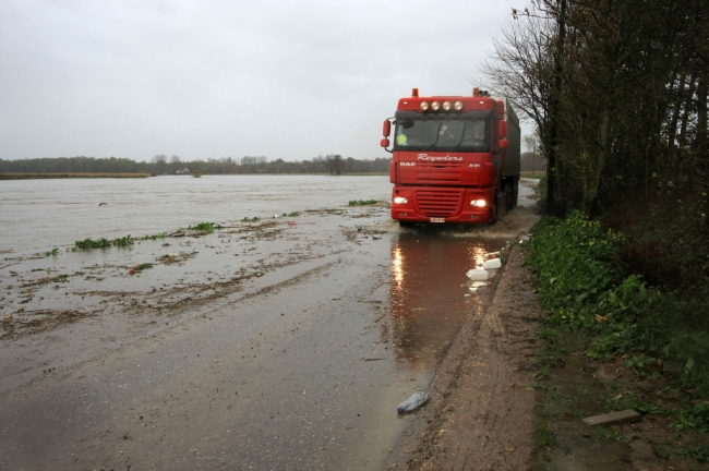 In Herbricht was een loonwerker nog bezig zijn mais te redden. De weg langs de Maas van de Overslag naar Herbricht staat hier al onder water. 
