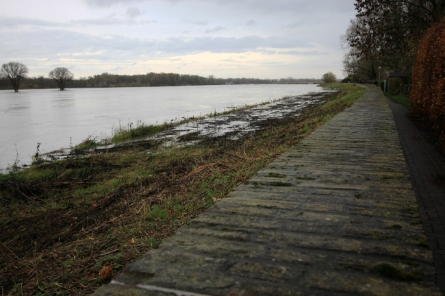 Het waterpeil in Borgharen was op dit moment 44.60m boven NAP. De hoogste stand in 1993 was 45.85 boven NAP. Ligt het aan de uitgevoerde werkzaamheden aan Belgische zijde dat we nog zoveel ruimte hebben tot bovenaan de kademuur. Het waterpeil in Borgharen was op dit moment 44.60m boven NAP. De hoogste stand in 1993 was 45.85 boven NAP. Ligt het aan de uitgevoerde werkzaamheden aan Belgische zijde dat we nog zoveel ruimte hebben tot bovenaan de kademuur.
