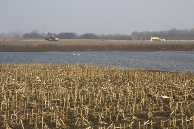 Het grintgat is al bereikt door de graafmachines.  