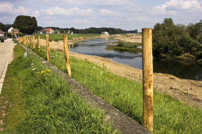 Langs de Maas vanaf Herbricht tot aan de grensovergang bij Smeermaas is een aaneengesloten natuurgebied gemaakt, voorzien van een afrastering.
Op de foto staat de afrastering langs de Maasdijk in Smeermaas. 