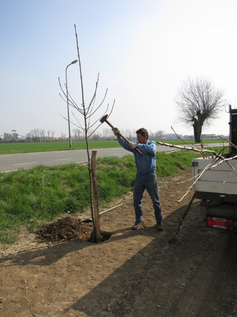 Het planten van de eerste boom ter verfraaing van het nieuwe fietspad tussen Borgharen en Itteren. In het najaar volgt een nieuwe reeks. Deze keer wordt e.e.a. in verband met het late tijdstip in het seizoen beperkt tot de aanplant van een drietal essen op de grens van de voormalige gemeenten Itteren en Borgharen. De officiéle opening van het fietspad zal plaatsvinden op 20 april 2012. Het planten van de eerste boom ter verfraaing van het nieuwe fietspad tussen Borgharen en Itteren. In het najaar volgt een nieuwe reeks. Deze keer wordt e.e.a. in verband met het late tijdstip in het seizoen beperkt tot de aanplant van een drietal essen op de grens van de voormalige gemeenten Itteren en Borgharen. De officiéle opening van het fietspad zal plaatsvinden op 20 april 2012.