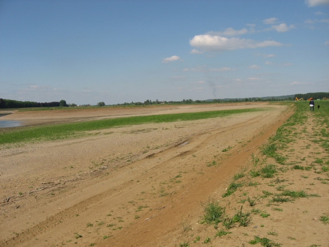 Bij de stroomgeulverbreding Borgharen Noord begint het al groen te worden. Binnenkort worden hier de eerste dieren uitgezet. Bij de stroomgeulverbreding Borgharen Noord begint het al groen te worden. Binnenkort worden hier de eerste dieren uitgezet.