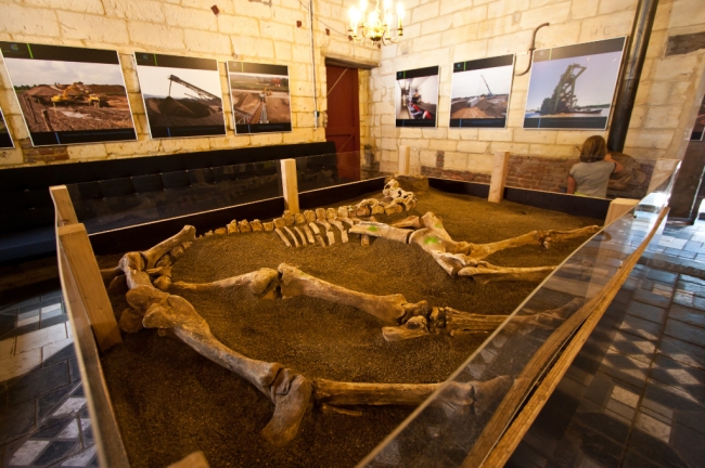 Een van de 65 skeletten uit het vermaarde paardengraf in Borgharen uit de zeventiende eeuw was die dag tentoongesteld. Een van de 65 skeletten uit het vermaarde paardengraf in Borgharen uit de zeventiende eeuw was die dag tentoongesteld.