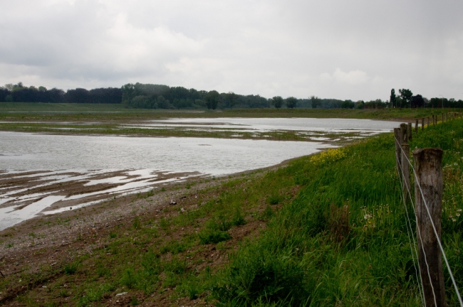 Op de aangevulde dekgrondbergingen in Borgharen blijft bij elke regenbui wekenlang water staan. De ondergrond bestaat nu uit een aangevuld kleipakket van zo'n 10m dik dat geen water doorlaat. Het natuurgebied is hierdoor alleen maar voor wandelaars toegankelijk na een lange periode van droog weer. Gemiste kans ? Wanneer het terrein licht aflopend naar de Maas was afgewerkt zou dat voor de toegangkelijkheid enorm veel schelen. Zou dat alsnog kunnen worden gerealiseerd ? Op de aangevulde dekgrondbergingen in Borgharen blijft bij elke regenbui wekenlang water staan. De ondergrond bestaat nu uit een aangevuld kleipakket van zo'n 10m dik dat geen water doorlaat. Het natuurgebied is hierdoor alleen maar voor wandelaars toegankelijk na een lange periode van droog weer. Gemiste kans ? Wanneer het terrein licht aflopend naar de Maas was afgewerkt zou dat voor de toegangkelijkheid enorm veel schelen. Zou dat alsnog kunnen worden gerealiseerd ?