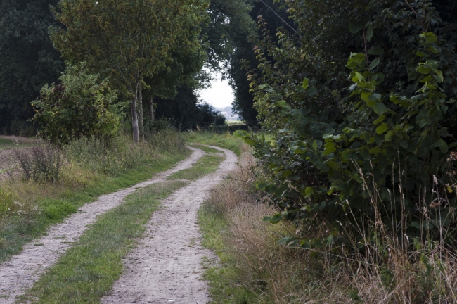 Huidig doorkijkje aan de oostkant van de nieuwe recreatievijver. 
