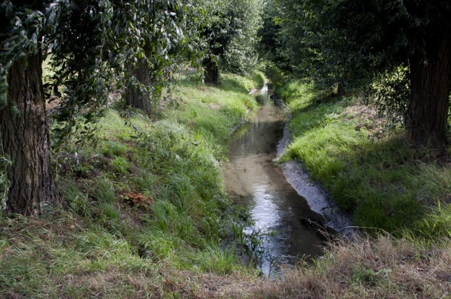 De Oude Kanjel blijft op deze plek stromen en zal straks meer bezoekers krijgen dan de enkeling die nu nog langs het beekje loopt. De Oude Kanjel blijft op deze plek stromen en zal straks meer bezoekers krijgen dan de enkeling die nu nog langs het beekje loopt.