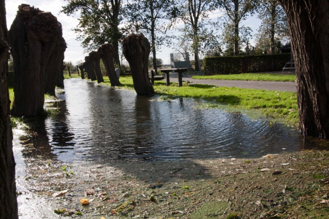 De Oude Kanjel, die midden door het dorp loopt, staat tot aan de rand vol doordat bevers in de beek stroomafwaarts een dam hebben gebouwd. De Oude Kanjel, die midden door het dorp loopt, staat tot aan de rand vol doordat bevers in de beek stroomafwaarts een dam hebben gebouwd.
