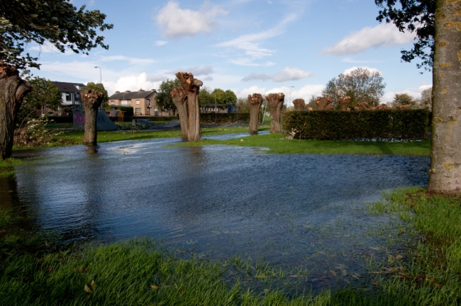 Nu eens niet tengevolge van een overstroomde Maas, het waren slechts bevers die met hun waterbouwkundige werken stroomafwaarts zorgen voor een verhoogde waterstand in de Oude Kanjel. Nu eens niet tengevolge van een overstroomde Maas, het waren slechts bevers die met hun waterbouwkundige werken stroomafwaarts zorgen voor een verhoogde waterstand in de Oude Kanjel.