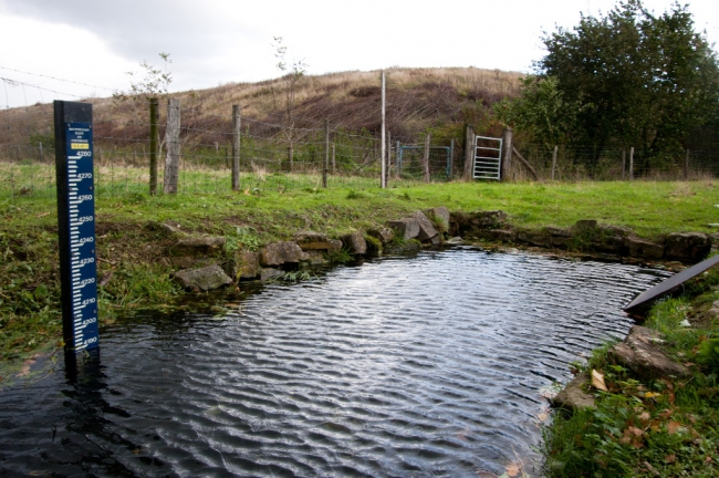 Een vertrouwd gezicht in ons dorp, normaal lezen we hier de waterstand af bij een verhoogde waterstand van de Maas. Nu waren de bevers er debet aan. Een vertrouwd gezicht in ons dorp, normaal lezen we hier de waterstand af bij een verhoogde waterstand van de Maas. Nu waren de bevers er debet aan.