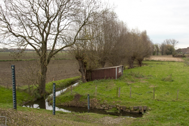 Een dezer dagen zullen deze bomen gekapt worden omdat Roer en Overmaas de loop van de beek gaat verleggen. Het zal er nadat de bomen gekapt zijn kaal uit zien langs de beek temeer daar er geen nieuwe bomen meer worden aangeplant. We laten de natuur maar haar gang gaan. Een dezer dagen zullen deze bomen gekapt worden omdat Roer en Overmaas de loop van de beek gaat verleggen. Het zal er nadat de bomen gekapt zijn kaal uit zien langs de beek temeer daar er geen nieuwe bomen meer worden aangeplant. We laten de natuur maar haar gang gaan.