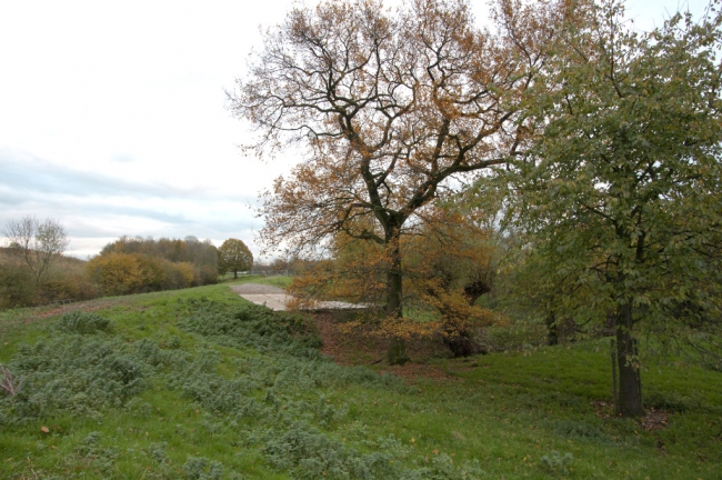 Ook de eik die langs de beek staat draagt haar steentje bij aan de kleurenpracht van de herfst.