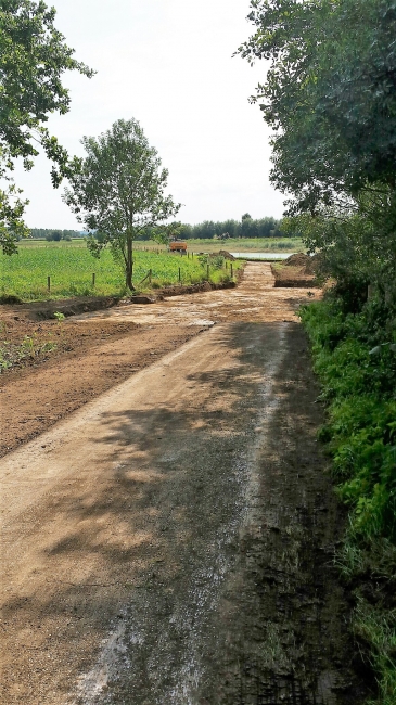 Het Consortium is begonnen met de afwerking van de recreatievijver. In september volgt de officiële opening. Links op de foto komen parkeerplaatsen waaronder ook een parkeerplaats voor gebruikers van een rolstoel.
CG denkt nog na over het plaatsen van een infobord met een stukje historie van het gebied (in de huisstijl van de infoborden Rivierpark Maasvallei).
Naast de parkeerplaatsen wordt aan de zuidkant nog een vlonderbrug aangelegd inclusief peilschaal. Ook wordt gezorgd voor fatsoenlijke wandelmogelijkheden. Het Consortium is begonnen met de afwerking van de recreatievijver. In september volgt de officiële opening. Links op de foto komen parkeerplaatsen waaronder ook een parkeerplaats voor gebruikers van een rolstoel.
CG denkt nog na over het plaatsen van een infobord met een stukje historie van het gebied (in de huisstijl van de infoborden Rivierpark Maasvallei).
Naast de parkeerplaatsen wordt aan de zuidkant nog een vlonderbrug aangelegd inclusief peilschaal. Ook wordt gezorgd voor fatsoenlijke wandelmogelijkheden.