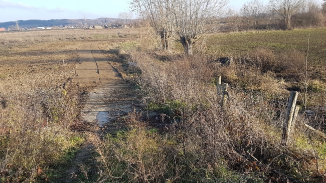 Het Bundervoetpad was een oude historische veldweg die vanuit Itteren als verlengde van Geneinde richting Hartelstein liep. De Keizerstraat en nadien ook Op de Warrey waren toen nog helemaal niet in beeld. Het Bundervoetpad liep in noord-oostelijke richting tot op een viersprong die iets ten zuiden lag van de huidige duiker onder het Julianakanaal. Vanaf de viersprong kon men richting Voulwames, Hartelstein of Bunde lopen.
In 1897 heeft de familie Prickaerts-Savelberg van hoeve Hartelstein op de viersprong een veldkruis laten plaatsen.
Begin jaren 80 van de vorige eeuw heeft er een ruilverkaveling plaatsgevonden. Het Bundervoetpad is in zuidelijke richting verplaatst tot tegen de bosrand. Vanaf die tijd was het geen veldweg meer. Het was een verharde weg die zelfs onderdeel uitmaakte van een paar landelijke fietsroutes.
Direct bij de start van de werkzaamheden van het Consortium Grensmaas is het Bundervoetpad afgesloten voor alle verkeer. Het gebied rondom het Bundervoetpad, inclusief een groot deel het bos, was namelijk bestemd als dekgrondberging. Een groot deel van het bos is destijds dan ook gekapt. Op deze website, onder de map Hartelsteinerveld is dat allemaal goed te volgen.
De Dorpsraad is er altijd vanuit gegaan dat het pad na afronding weer zou terugkomen. Het pad was daarom ook als zodanig opgenomen in de recreatievisie van de Dorpsraad. Groot was daarom de teleurstelling/verbazing toen bleek dat in het eindplan het Bundervoetpad niet meer voorkwam.
In de klankbordgroep Grensmaas, waarin de Dorpsraad vertegenwoordigd is, is diverse malen aangedrongen op terugkeer van het Bundervoetpad. Helaas zonder enig effect. Men vond, met name Staatsbosbeheer, een dergelijk pad niet passen in een natuurgebied.
In de laatste klankbordgroepvergadering heeft de delegatie van de Dorpsraad een laatste ultieme poging gedaan om het pad terug te krijgen. We hebben nogmaals heel duidelijk het belang van het pad uitgelegd. Het pad biedt namelijk een goede mogelijkheid om een rondje te maken rond Hartelstein. Zonder het voetpad zouden wandelaars van Hartelstein via op/afrit brug en Op de Bos naar Itteren moeten wandelen. Een zeer ongewenste en verkeersonveilige situatie. Het pad biedt verder voor de inwoners van Itteren uit de nieuwe buurt een prachtige toegang tot het gebied, b.v. om de hond uit te laten.
Onze laatste ultieme poging heeft gelukkig succes gehad. Na intern beraad bij Staatsbosbeheer, gemeente en Consortium is besloten om alsnog het voetpad aan te leggen. Op de valreep, want over een week of twee zijn de werkzaamheden in het gebied afgerond en zal het Consortium met al zijn materiaal vertrekken.
Inmiddels is gestart met de aanleg van het Bundervoetpad.
Het veldkruis is ten tijde van de ruilverkaveling verplaatst naar een plek aan de voet van de dijk van het Julianakanaal. Alhoewel het niet meer het originele veldkruis is (het origineel is verschillende keren vernield of gestolen) zoeken we nog een mooie geschikte plek. Zodra de werkzaamheden in het gebied zullen zijn afgerond zal voor het veldkruis een definitieve plaats worden gezocht. Het Bundervoetpad was een oude historische veldweg die vanuit Itteren als verlengde van Geneinde richting Hartelstein liep. De Keizerstraat en nadien ook Op de Warrey waren toen nog helemaal niet in beeld. Het Bundervoetpad liep in noord-oostelijke richting tot op een viersprong die iets ten zuiden lag van de huidige duiker onder het Julianakanaal. Vanaf de viersprong kon men richting Voulwames, Hartelstein of Bunde lopen.
In 1897 heeft de familie Prickaerts-Savelberg van hoeve Hartelstein op de viersprong een veldkruis laten plaatsen.
Begin jaren 80 van de vorige eeuw heeft er een ruilverkaveling plaatsgevonden. Het Bundervoetpad is in zuidelijke richting verplaatst tot tegen de bosrand. Vanaf die tijd was het geen veldweg meer. Het was een verharde weg die zelfs onderdeel uitmaakte van een paar landelijke fietsroutes.
Direct bij de start van de werkzaamheden van het Consortium Grensmaas is het Bundervoetpad afgesloten voor alle verkeer. Het gebied rondom het Bundervoetpad, inclusief een groot deel het bos, was namelijk bestemd als dekgrondberging. Een groot deel van het bos is destijds dan ook gekapt. Op deze website, onder de map Hartelsteinerveld is dat allemaal goed te volgen.
De Dorpsraad is er altijd vanuit gegaan dat het pad na afronding weer zou terugkomen. Het pad was daarom ook als zodanig opgenomen in de recreatievisie van de Dorpsraad. Groot was daarom de teleurstelling/verbazing toen bleek dat in het eindplan het Bundervoetpad niet meer voorkwam.
In de klankbordgroep Grensmaas, waarin de Dorpsraad vertegenwoordigd is, is diverse malen aangedrongen op terugkeer van het Bundervoetpad. Helaas zonder enig effect. Men vond, met name Staatsbosbeheer, een dergelijk pad niet passen in een natuurgebied.
In de laatste klankbordgroepvergadering heeft de delegatie van de Dorpsraad een laatste ultieme poging gedaan om het pad terug te krijgen. We hebben nogmaals heel duidelijk het belang van het pad uitgelegd. Het pad biedt namelijk een goede mogelijkheid om een rondje te maken rond Hartelstein. Zonder het voetpad zouden wandelaars van Hartelstein via op/afrit brug en Op de Bos naar Itteren moeten wandelen. Een zeer ongewenste en verkeersonveilige situatie. Het pad biedt verder voor de inwoners van Itteren uit de nieuwe buurt een prachtige toegang tot het gebied, b.v. om de hond uit te laten.
Onze laatste ultieme poging heeft gelukkig succes gehad. Na intern beraad bij Staatsbosbeheer, gemeente en Consortium is besloten om alsnog het voetpad aan te leggen. Op de valreep, want over een week of twee zijn de werkzaamheden in het gebied afgerond en zal het Consortium met al zijn materiaal vertrekken.
Inmiddels is gestart met de aanleg van het Bundervoetpad.
Het veldkruis is ten tijde van de ruilverkaveling verplaatst naar een plek aan de voet van de dijk van het Julianakanaal. Alhoewel het niet meer het originele veldkruis is (het origineel is verschillende keren vernield of gestolen) zoeken we nog een mooie geschikte plek. Zodra de werkzaamheden in het gebied zullen zijn afgerond zal voor het veldkruis een definitieve plaats worden gezocht.