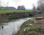 De geul stroomt nu nog ten noorden van hoeve Hartelstein. Haar loop zal in het kader van het grensmaasplan verlegd worden naar de zuidkant van hoeve Hartelstein. (4-4-2008 - Jan Dolmans)