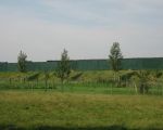 Geluidswal op de dijk van het Julianakanaal aan de kant van Bunde. (16-8-2008 - Han Hamakers)