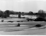 De Allier, zijrivier van de Loire, is de voorbeeldrivier nieuwe grensmaas. Zo wordt het dus in Itteren na de werkzaamheden op de plekken waar rivierverruiming middels weerdverlaging heeft plaatsgevonden. (1-6-2007 - n.v.t.)