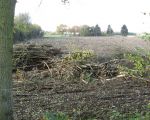 Hier wordt eind 2008/begin 2009 gestart met de daadwerkelijke ontgrinding. De dekgrond die hier wordt weggehaald gaat naar het gronddepot aan de noordzijde van Itteren. In de buurt van de kade/Op de Warrey worden werkketen geplaatst. (7-11-2008 - Han Hamakers)