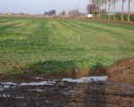 De contouren van de werkweg zijn met paaltjes op de akker reeds aangegeven. (8-12-2008 - Jan Dolmans)