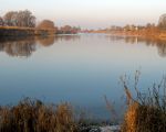 Zicht op de Maas vanuit het zuiden van Itteren. De oever aan de linkerkant (natuurgebied Hochter Bampd) zal in de komende maanden worden afgegraven waardoor de Maas ook hier meer ruimte gaat krijgen. (zie de Belgische Grensmaasplannen voor de ingrepen nabij de Hochter Bampd). (30-12-2008 - Jan Dolmans)