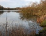 De plas in het natuurgebied de Hochter Bampd is in de 60-er jaren ontstaan door grindwinning en is een El Dorado voor watervogels. (25-1-2009 - Jan Dolmans)