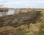 Langs de oevers van de Maas zal een corridor worden gemaakt waarlangs de runderen en paarden kunnen trekken van natuurgebied Hochterbampd naar Herbricht. (28-2-2009 - Jan Dolmans)