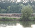 Hier is de zomerdijk al verlaagd. De grnspaal aan belgische zijde is nu ook zichtbaar geworden. Duidelijk is te zien hoeveel slib is aangevoerd de laatste jaren. (16-6-2009 - Han Hamakers)
